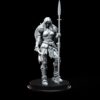 Norse Valkyrie | TTRPG DnD Miniature | 32mm - 75mm Resin Figure | Viking Female Warrior Göll